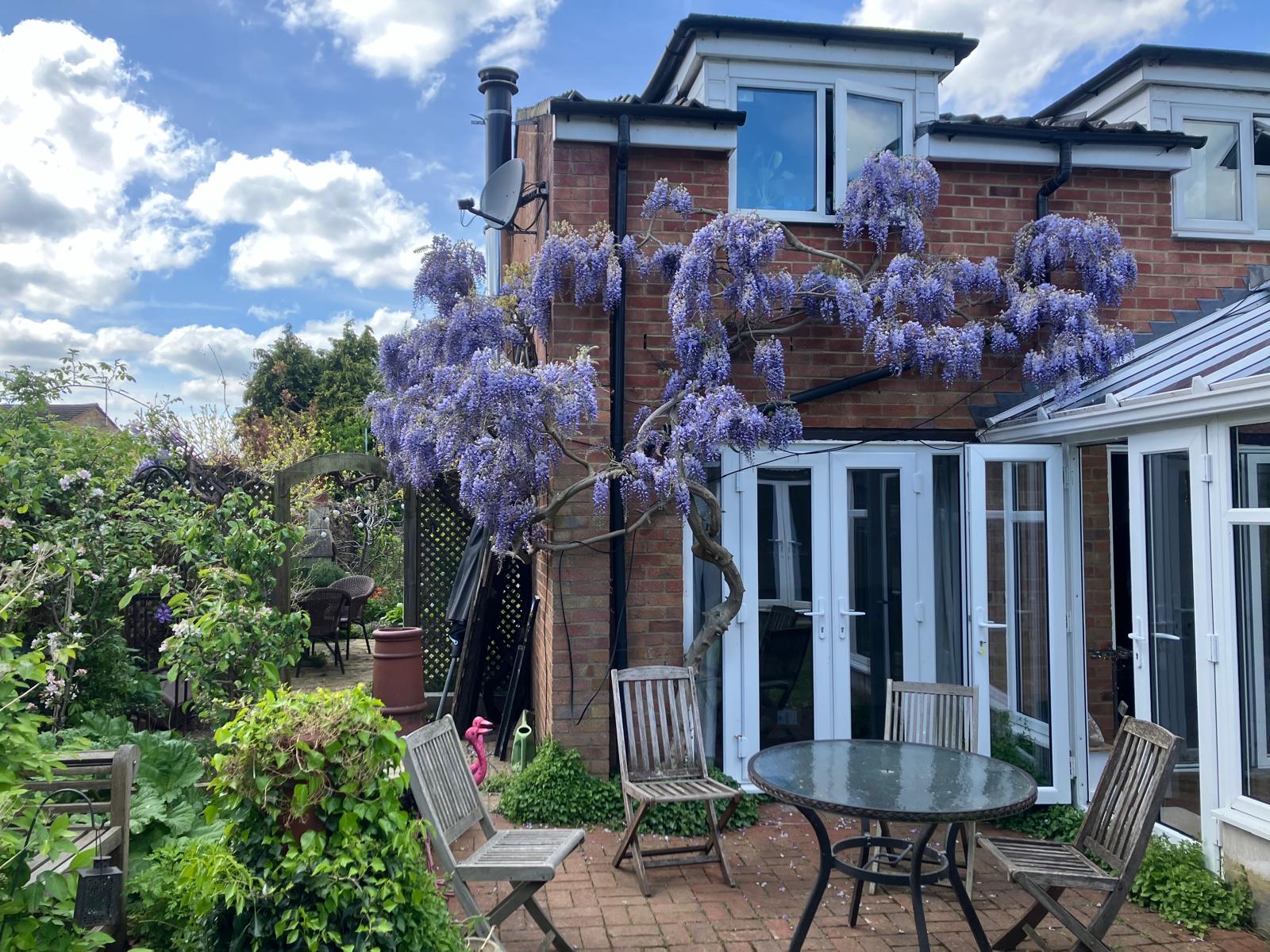 The Corner Sanctuary Garden